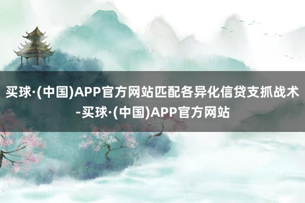 买球·(中国)APP官方网站匹配各异化信贷支抓战术-买球·(中国)APP官方网站