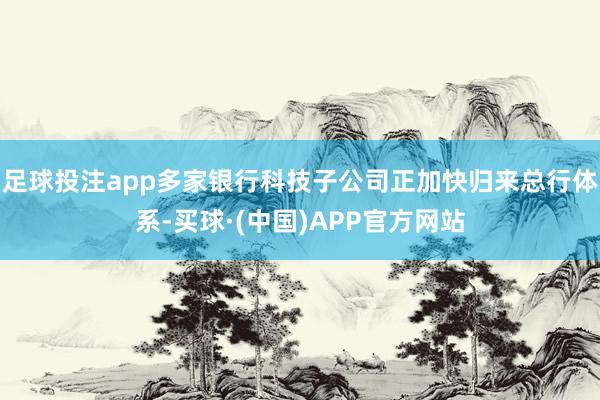 足球投注app多家银行科技子公司正加快归来总行体系-买球·(中国)APP官方网站