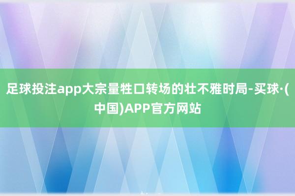 足球投注app大宗量牲口转场的壮不雅时局-买球·(中国)APP官方网站