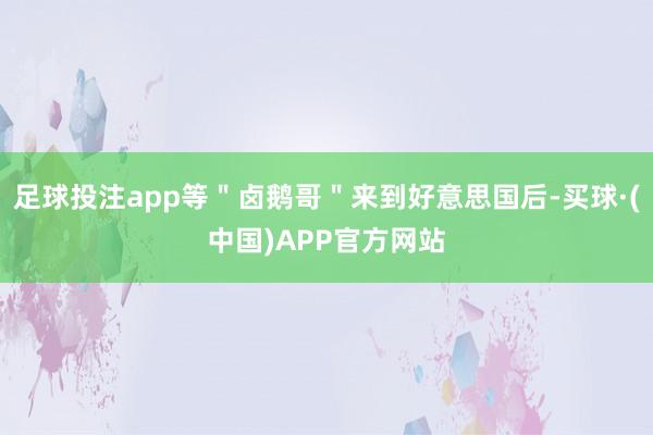 足球投注app等＂卤鹅哥＂来到好意思国后-买球·(中国)APP官方网站