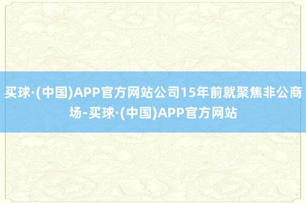 买球·(中国)APP官方网站公司15年前就聚焦非公商场-买球·(中国)APP官方网站