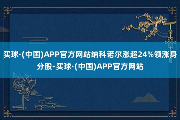 买球·(中国)APP官方网站纳科诺尔涨超24%领涨身分股-买球·(中国)APP官方网站