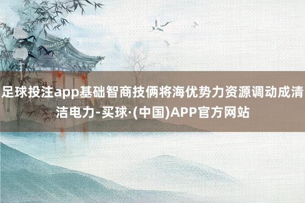 足球投注app基础智商技俩将海优势力资源调动成清洁电力-买球·(中国)APP官方网站
