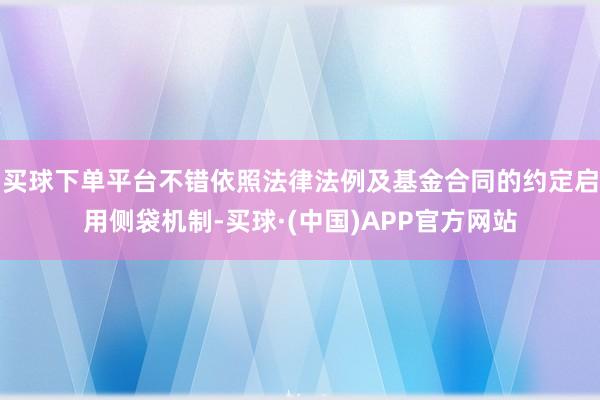 买球下单平台不错依照法律法例及基金合同的约定启用侧袋机制-买球·(中国)APP官方网站