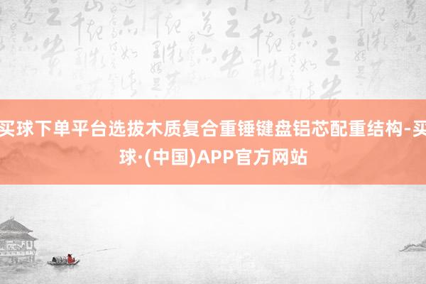 买球下单平台选拔木质复合重锤键盘铝芯配重结构-买球·(中国)APP官方网站