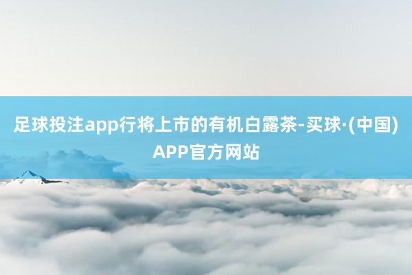 足球投注app行将上市的有机白露茶-买球·(中国)APP官方网站