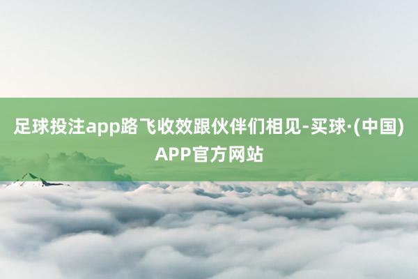 足球投注app路飞收效跟伙伴们相见-买球·(中国)APP官方网站