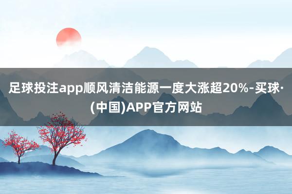 足球投注app顺风清洁能源一度大涨超20%-买球·(中国)APP官方网站