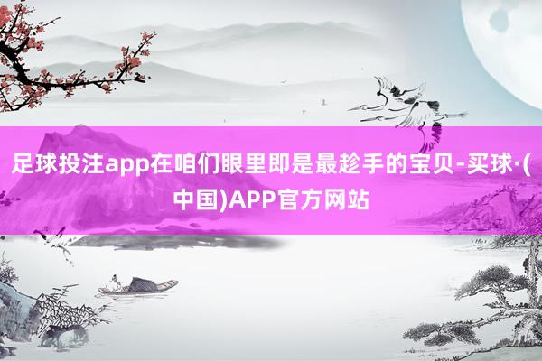 足球投注app在咱们眼里即是最趁手的宝贝-买球·(中国)APP官方网站