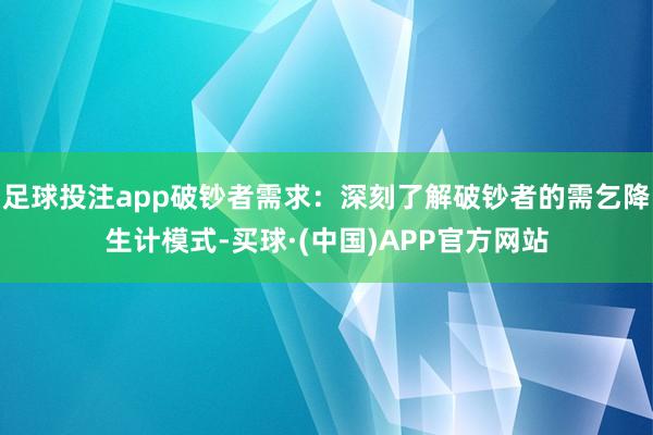 足球投注app破钞者需求：深刻了解破钞者的需乞降生计模式-买球·(中国)APP官方网站