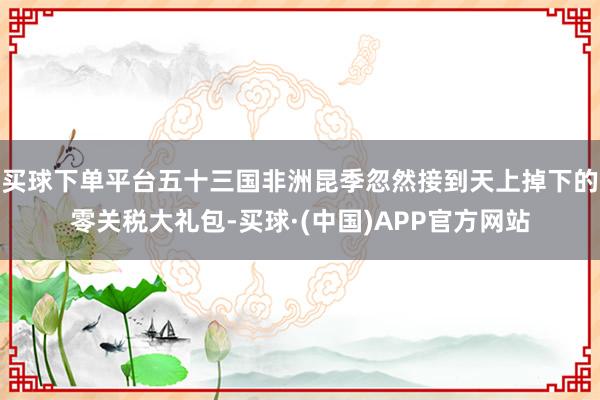 买球下单平台五十三国非洲昆季忽然接到天上掉下的零关税大礼包-买球·(中国)APP官方网站