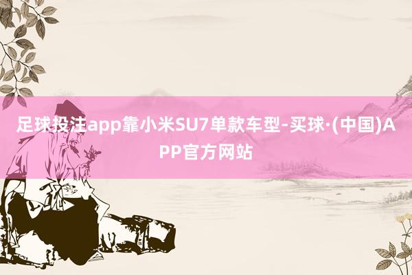 足球投注app靠小米SU7单款车型-买球·(中国)APP官方网站