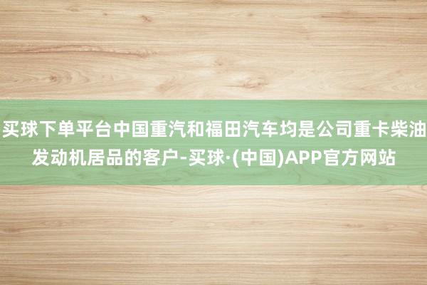 买球下单平台中国重汽和福田汽车均是公司重卡柴油发动机居品的客户-买球·(中国)APP官方网站