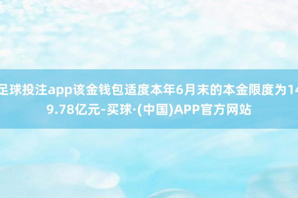 足球投注app该金钱包适度本年6月末的本金限度为149.78亿元-买球·(中国)APP官方网站