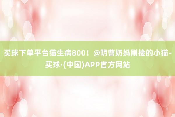 买球下单平台猫生病800！@阴曹奶妈刚捡的小猫-买球·(中国)APP官方网站