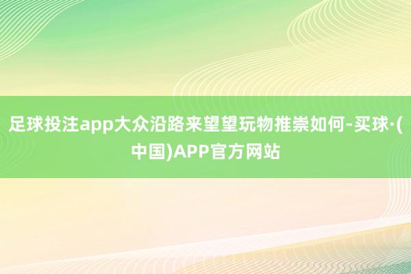 足球投注app大众沿路来望望玩物推崇如何-买球·(中国)APP官方网站