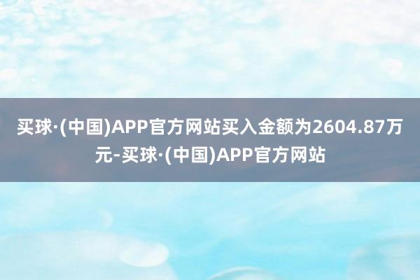 买球·(中国)APP官方网站买入金额为2604.87万元-买球·(中国)APP官方网站