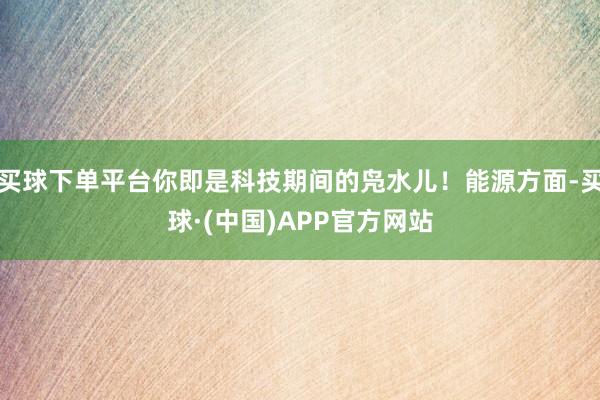 买球下单平台你即是科技期间的凫水儿!能源方面-买球·(中国)APP官方网站