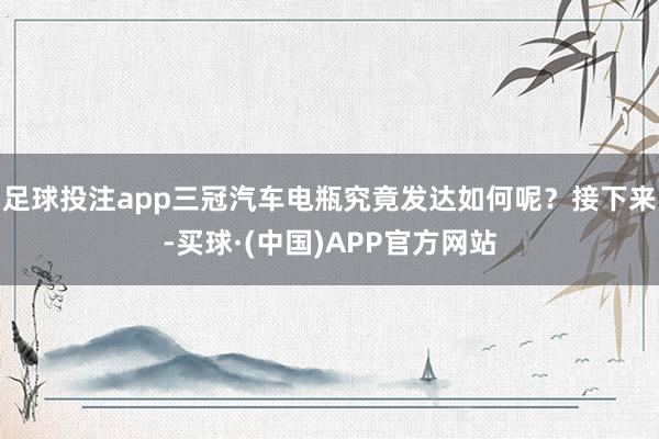 足球投注app三冠汽车电瓶究竟发达如何呢?接下来-买球·(中国)APP官方网站