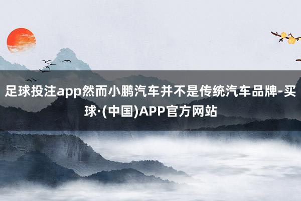 足球投注app然而小鹏汽车并不是传统汽车品牌-买球·(中国)APP官方网站