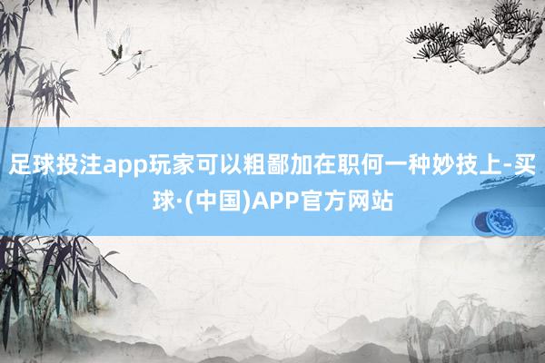 足球投注app玩家可以粗鄙加在职何一种妙技上-买球·(中国)APP官方网站