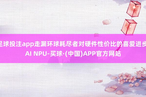 足球投注app走漏环球耗尽者对硬件性价比的喜爱进步 AI NPU-买球·(中国)APP官方网站