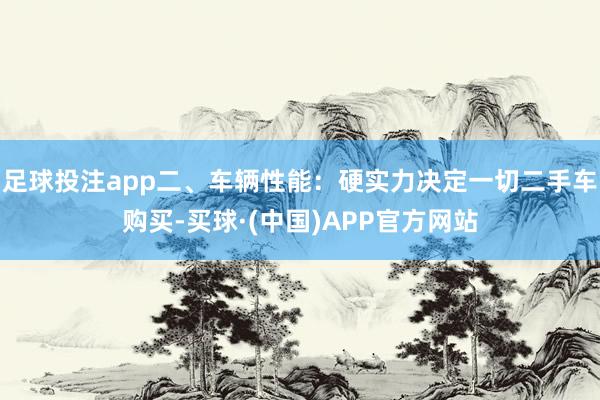 足球投注app二、车辆性能：硬实力决定一切二手车购买-买球·(中国)APP官方网站