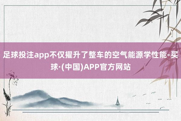 足球投注app不仅擢升了整车的空气能源学性能-买球·(中国)APP官方网站