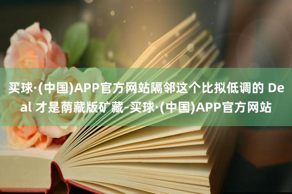 买球·(中国)APP官方网站隔邻这个比拟低调的 Deal 才是荫藏版矿藏-买球·(中国)APP官方网站
