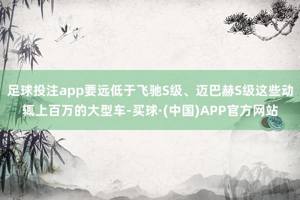 足球投注app要远低于飞驰S级、迈巴赫S级这些动辄上百万的大型车-买球·(中国)APP官方网站