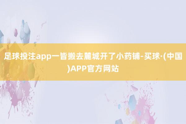 足球投注app一皆搬去麓城开了小药铺-买球·(中国)APP官方网站