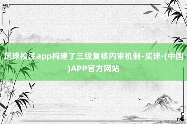 足球投注app构建了三级复核内审机制-买球·(中国)APP官方网站