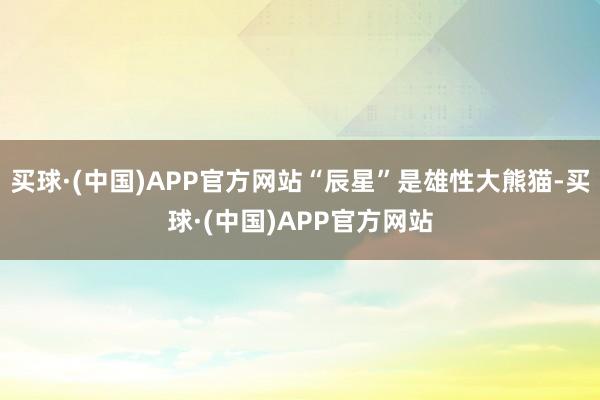买球·(中国)APP官方网站“辰星”是雄性大熊猫-买球·(中国)APP官方网站