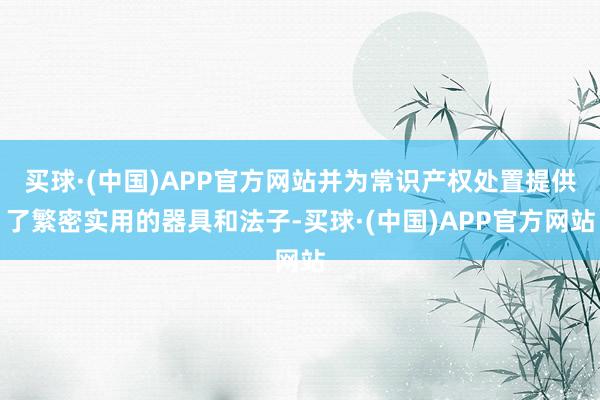 买球·(中国)APP官方网站并为常识产权处置提供了繁密实用的器具和法子-买球·(中国)APP官方网站
