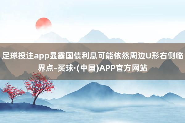足球投注app显露国债利息可能依然周边U形右侧临界点-买球·(中国)APP官方网站