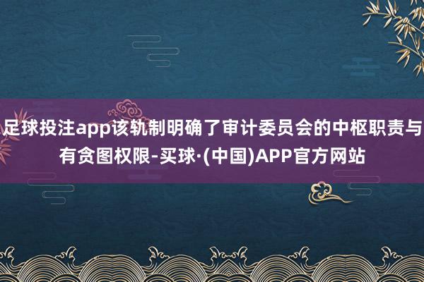 足球投注app该轨制明确了审计委员会的中枢职责与有贪图权限-买球·(中国)APP官方网站