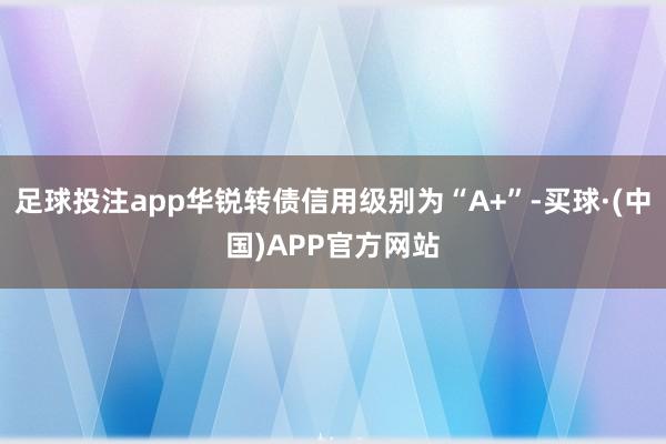 足球投注app华锐转债信用级别为“A+”-买球·(中国)APP官方网站