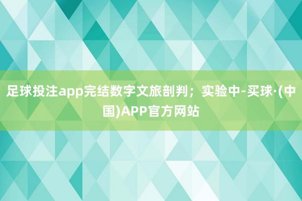 足球投注app完结数字文旅剖判；实验中-买球·(中国)APP官方网站