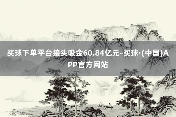 买球下单平台接头吸金60.84亿元-买球·(中国)APP官方网站