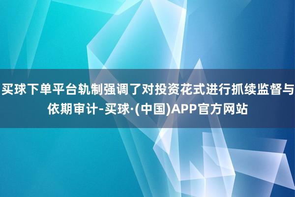 买球下单平台轨制强调了对投资花式进行抓续监督与依期审计-买球·(中国)APP官方网站