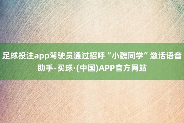 足球投注app驾驶员通过招呼“小魏同学”激活语音助手-买球·(中国)APP官方网站