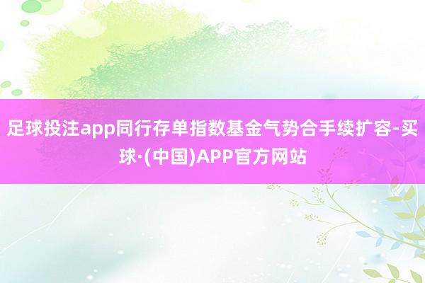 足球投注app同行存单指数基金气势合手续扩容-买球·(中国)APP官方网站