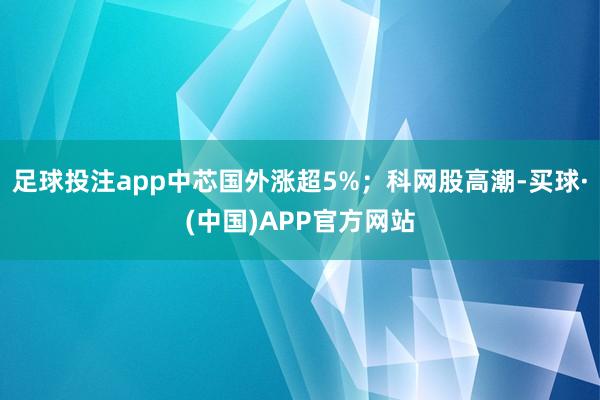 足球投注app中芯国外涨超5%；科网股高潮-买球·(中国)APP官方网站