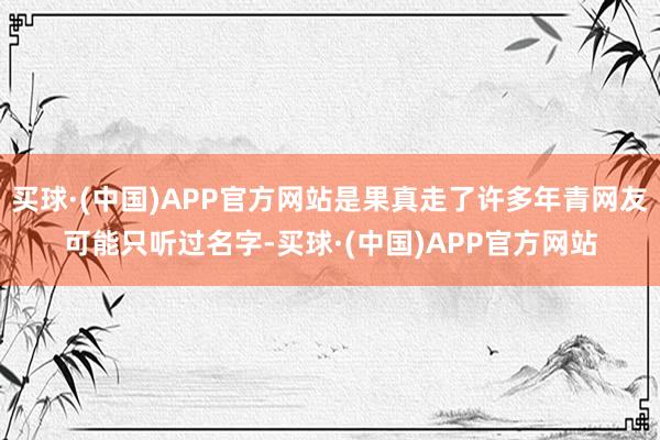 买球·(中国)APP官方网站是果真走了许多年青网友可能只听过名字-买球·(中国)APP官方网站