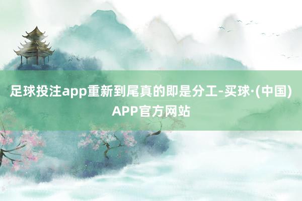 足球投注app重新到尾真的即是分工-买球·(中国)APP官方网站