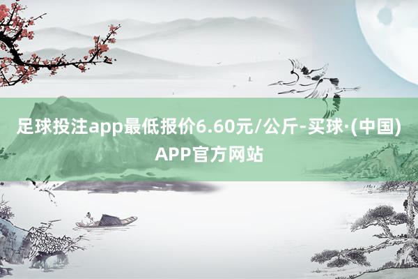 足球投注app最低报价6.60元/公斤-买球·(中国)APP官方网站