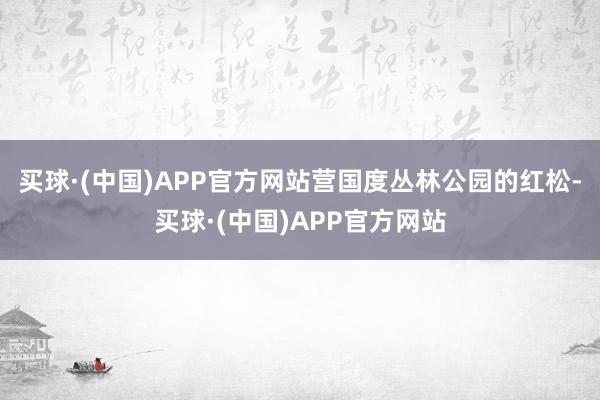 买球·(中国)APP官方网站营国度丛林公园的红松-买球·(中国)APP官方网站