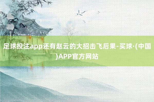 足球投注app还有赵云的大招击飞后果-买球·(中国)APP官方网站