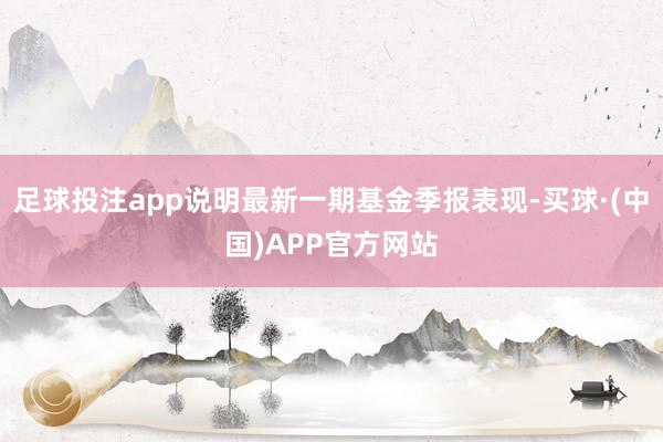 足球投注app说明最新一期基金季报表现-买球·(中国)APP官方网站