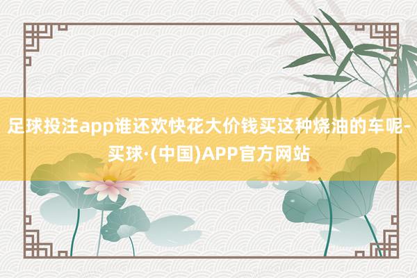 足球投注app谁还欢快花大价钱买这种烧油的车呢-买球·(中国)APP官方网站